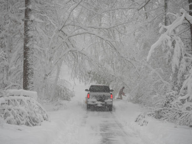 snowplow-services-driveways-parkinglots-9.jpg