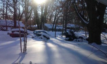 free estimates for landscape services and snow removal